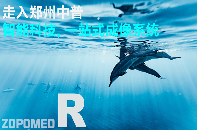 63107441ebcea 正点游戏·(中国区)官方网站