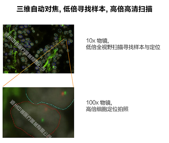 63107be0a29eb 正点游戏·(中国区)官方网站