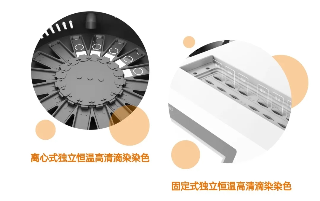 66135251797c6 正点游戏·(中国区)官方网站